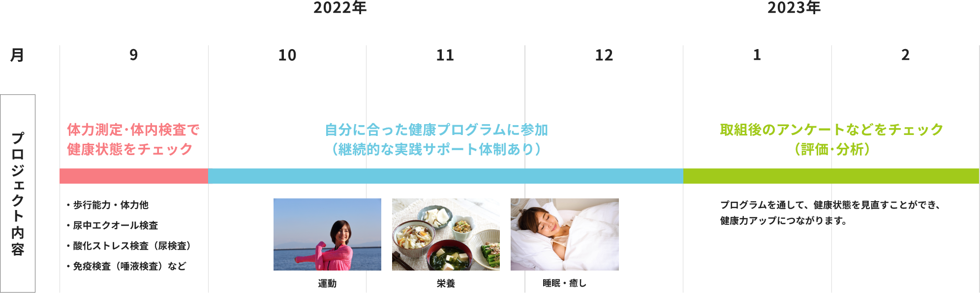 プロジェクトの内容とスケジュール
